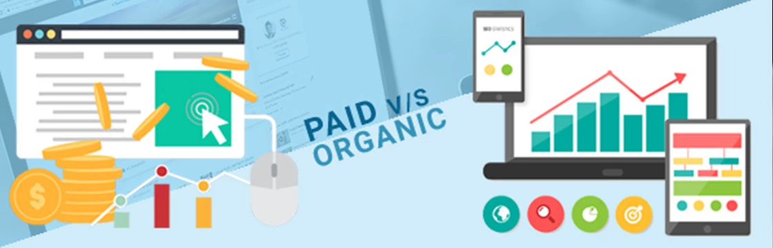 Paid vs Organic